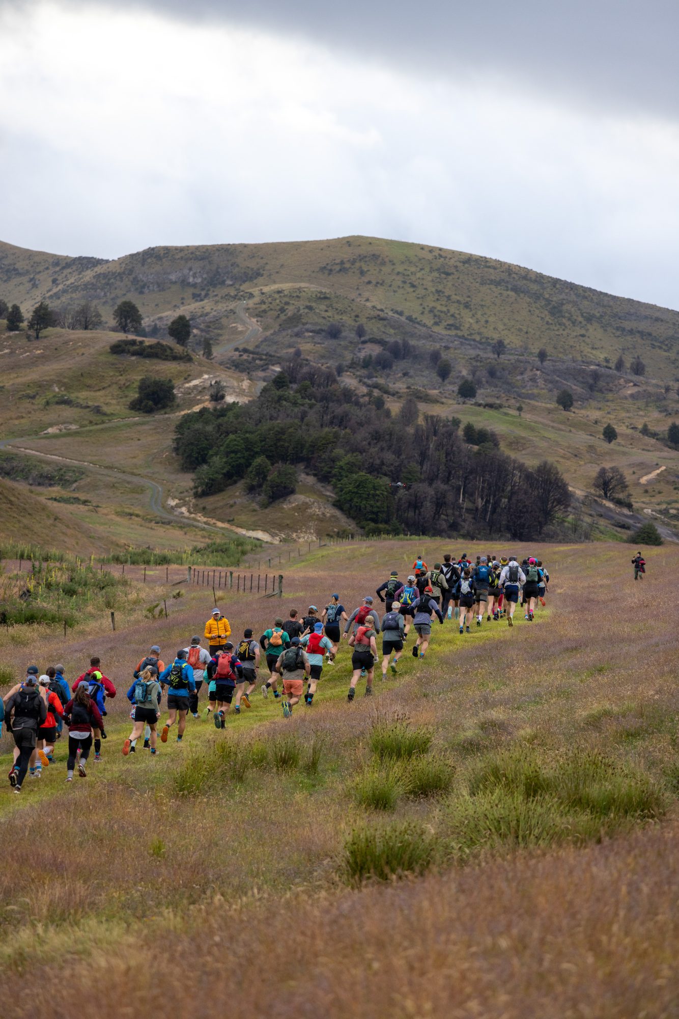 Heading to the Limestones