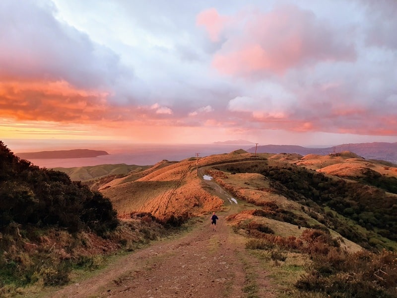 Bonus points if you reach the summit at Sunset. Rangituhi translates to sky glow. Fairly accurate!