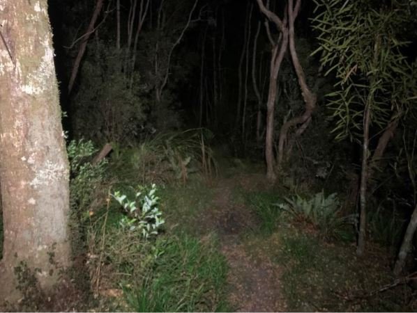 The seemingly never-ending Tauherenikau track