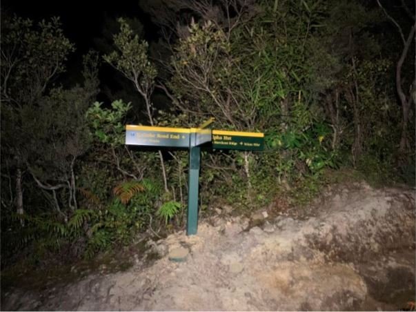 The way to Marchant