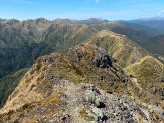 The Waiohine Pinnacles up close, looking towards Tarn Ridge leading to Girdlestone and the Eastern Range in the background